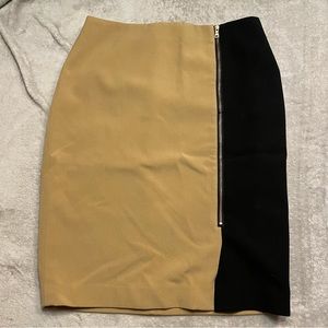 Ann Taylor skirt